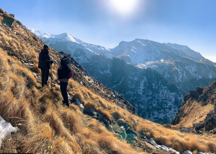 1765043596-palak-pitroda-BFoJjlpeOBw-unsplash (1).jpg